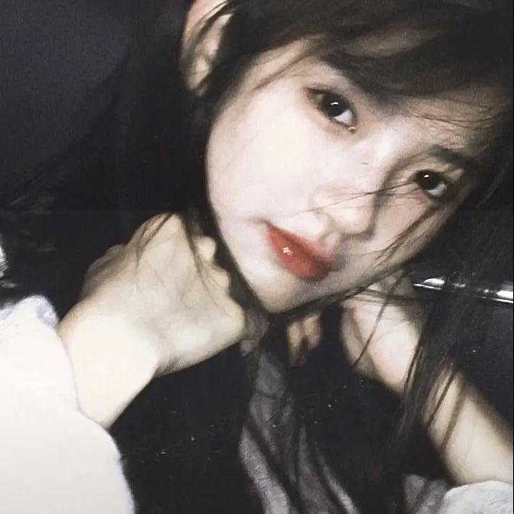 刚左档案 在线观看