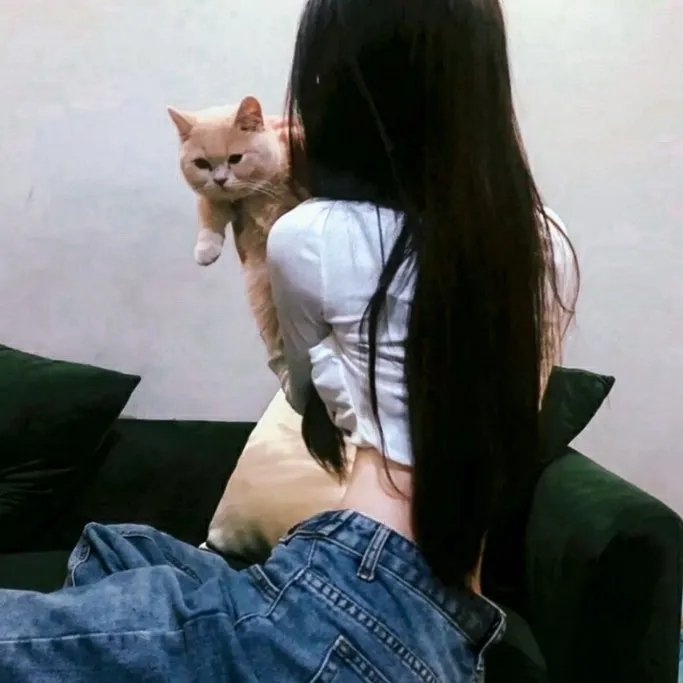 走投无路 在线观看